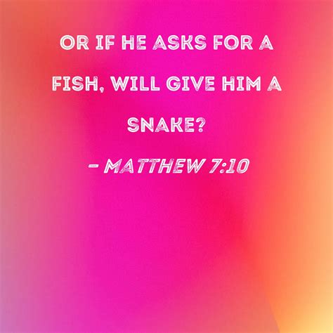 give him a fish|Matthew 7:10 Or if he asks for a fish, will give him a .